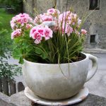 Pro și contra unui ghiveci de flori din beton